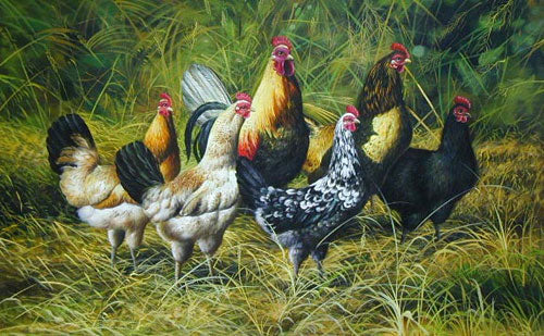 Chook Paintings N008