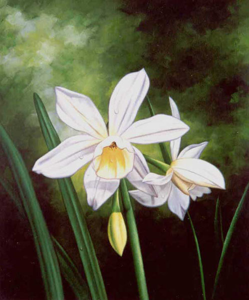 Classical Flower Paintings N045