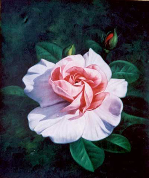 Classical Flower Paintings N084