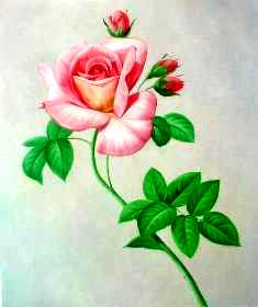 Classical Flower Paintings N182