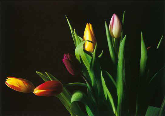 Classical Flower Paintings N187