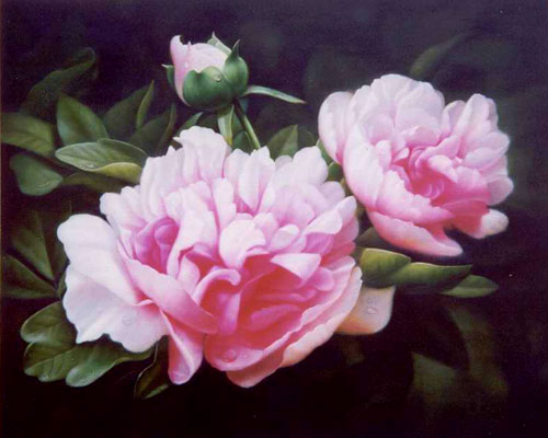 Classical Flower Paintings N191