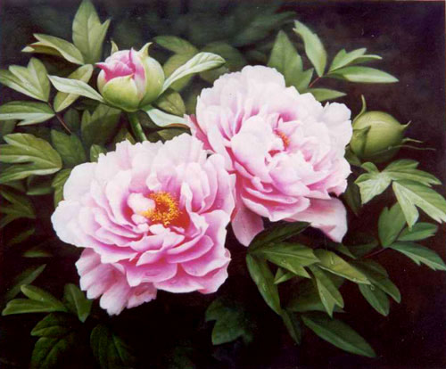 Classical Flower Paintings N192