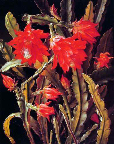 Classical Flower Paintings N204