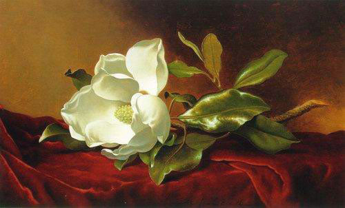 Classical Flower Paintings N237