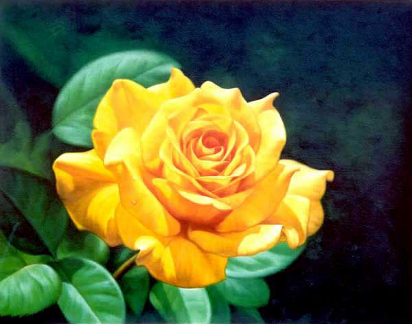 Classical Flower Paintings N261