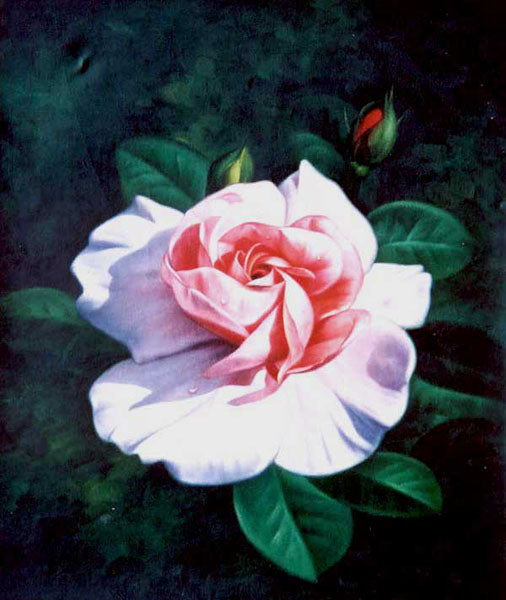 Classical Flower Paintings N263