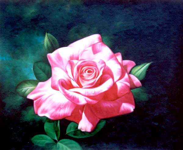 Classical Flower Paintings N264