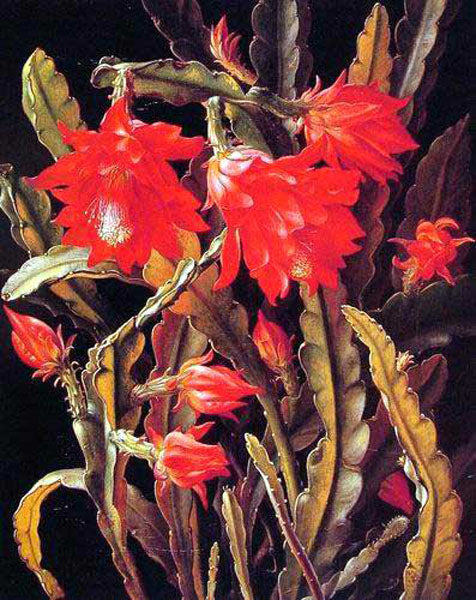 Classical Flower Paintings N335