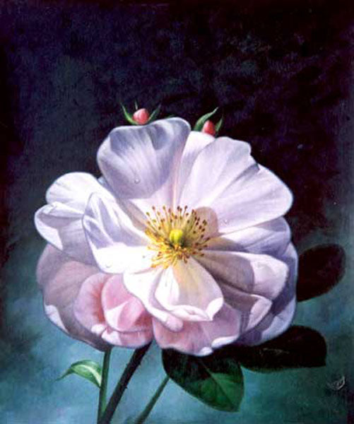 Classical Flower Paintings N391