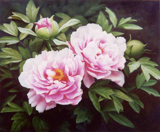 Classical Flower Paintings N393