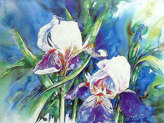 Colorful Flower Paintings N247