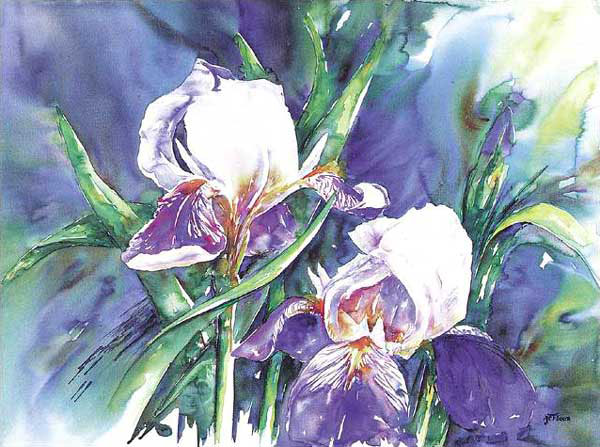 Colorful Flower Paintings N265