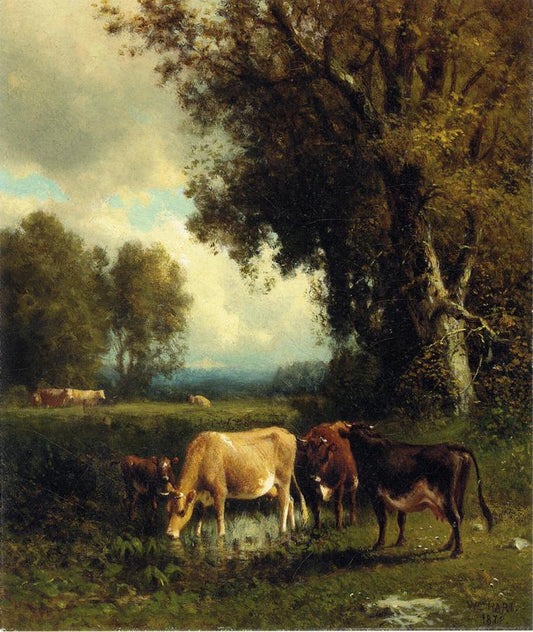 Cows in the Meadow