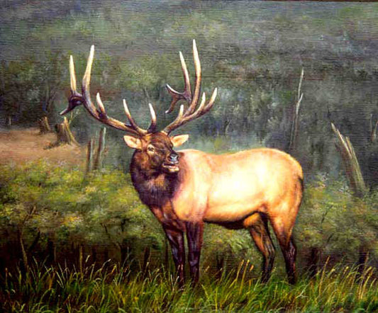 Deer Paintings N001