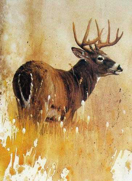 Deer Paintings N005