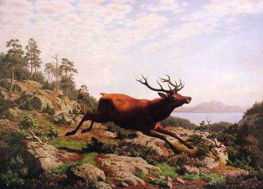 Deer Paintings N006