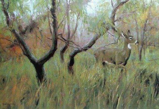 Deer Paintings N008