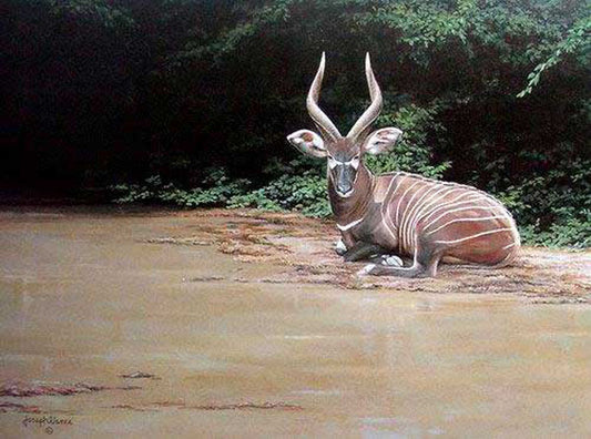 Deer Paintings N009