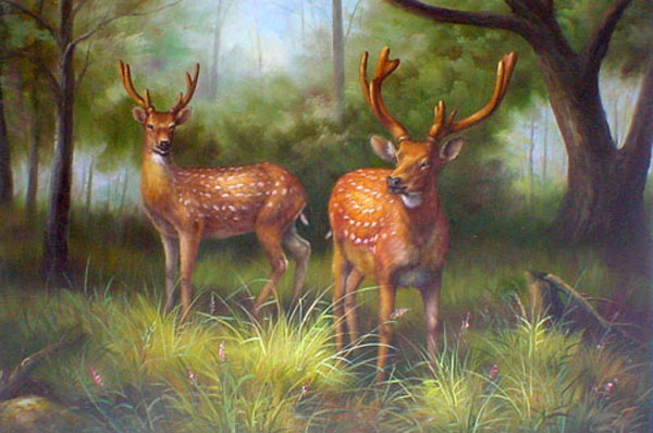 Deer Paintings N011