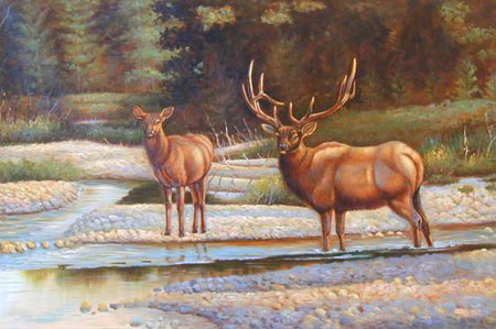 Deer Paintings N013