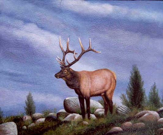 Deer Paintings N015