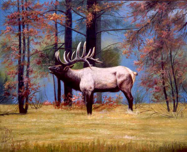 Deer Paintings N016