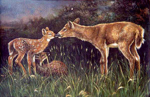 Deer Paintings N017