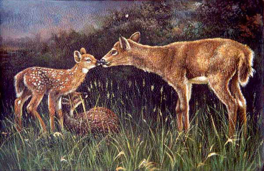 Deer Paintings N017