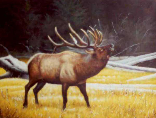 Deer Paintings N018