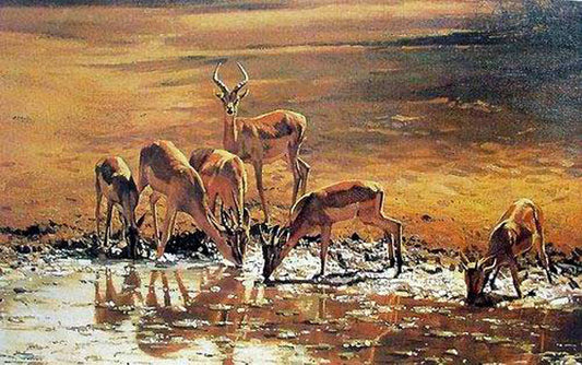 Deer Paintings N020