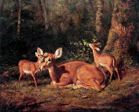 Deer Paintings N021