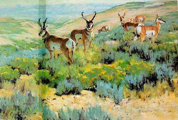 Deer Paintings N022