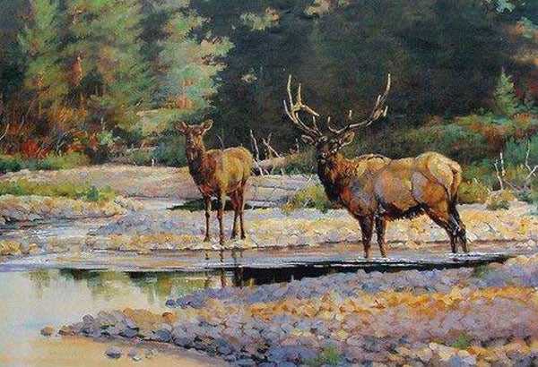 Deer Paintings N028