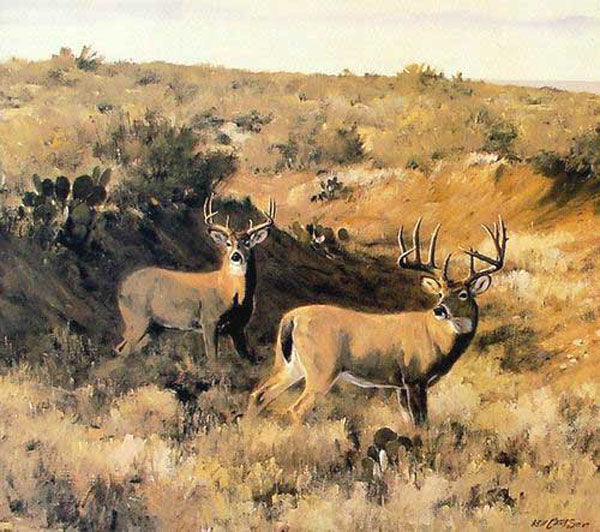 Deer Paintings N030