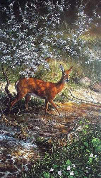 Deer Paintings N033