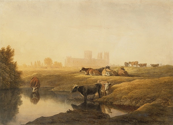 Cattle in Water Meadows with York Minster in the Distance