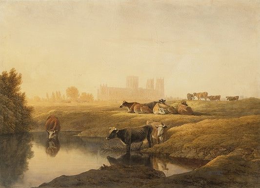 Cattle in Water Meadows with York Minster in the Distance