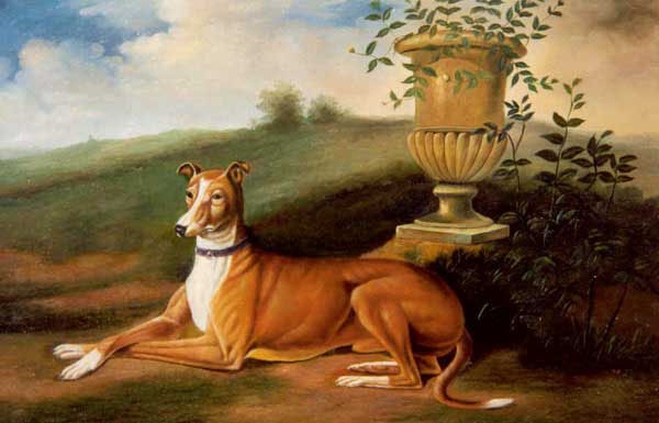 Dogs Paintings N088