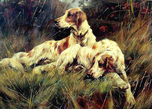 Dogs Paintings N099