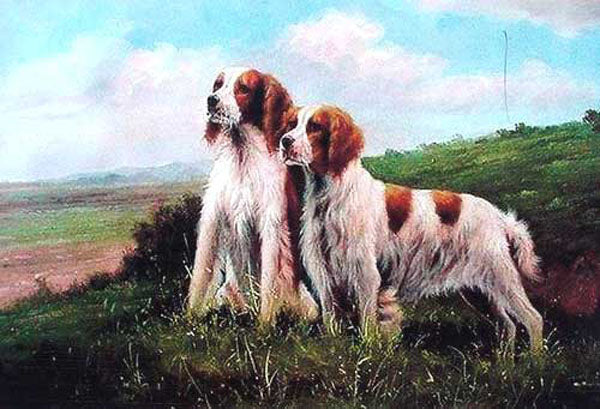 Dogs Paintings N101