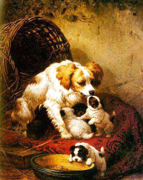 Dogs Paintings N111