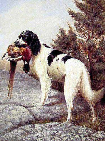 Dogs Paintings N116