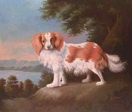 Dogs Paintings N117