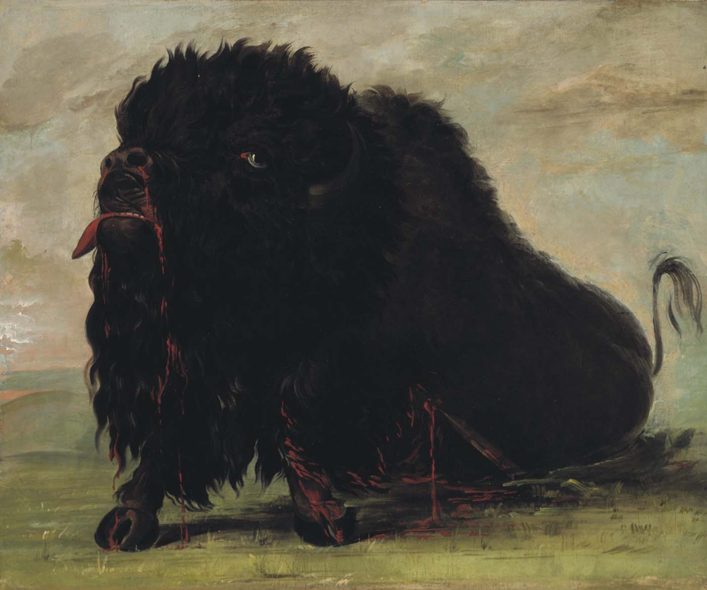 Dying Buffalo, Shot with an Arrow