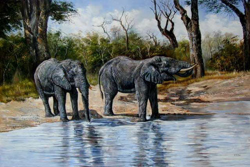 Elephant Paintings N007