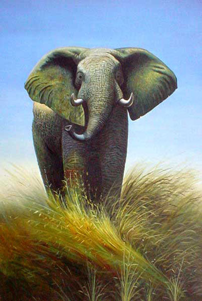 Elephant Paintings N011