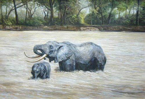 Elephant Paintings N014