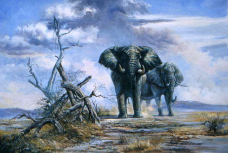 Elephant Paintings N016