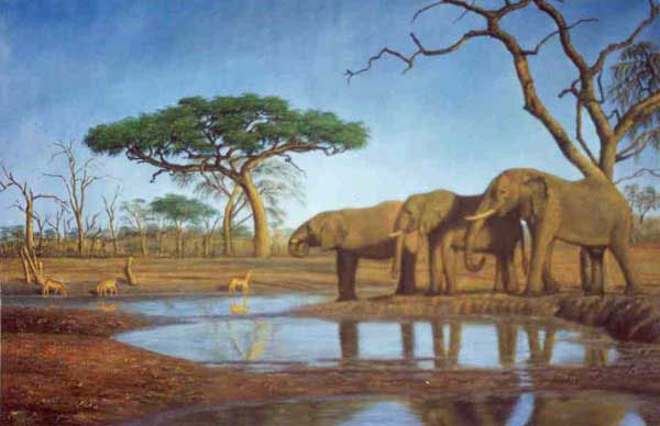 Elephant Paintings N018